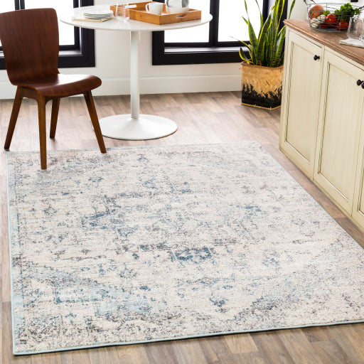 Ankara Distressed Blue Rug