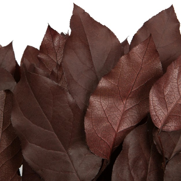 Natural Botanicals Salal Foliage Bunch