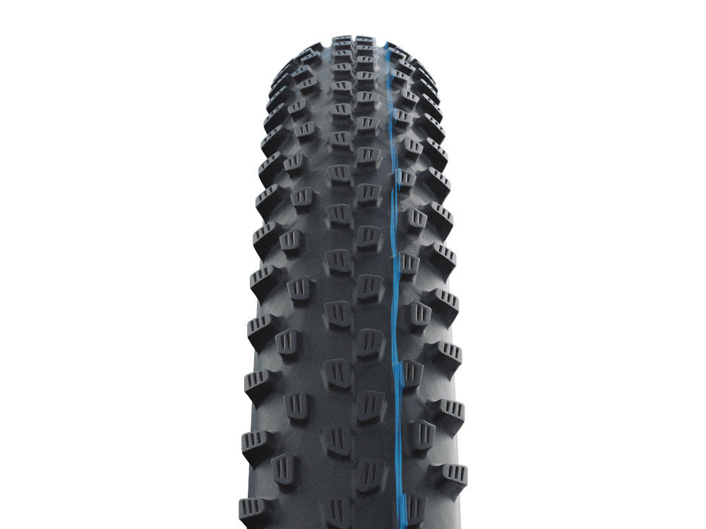 Schwalbe Racing Ray Evolution 29