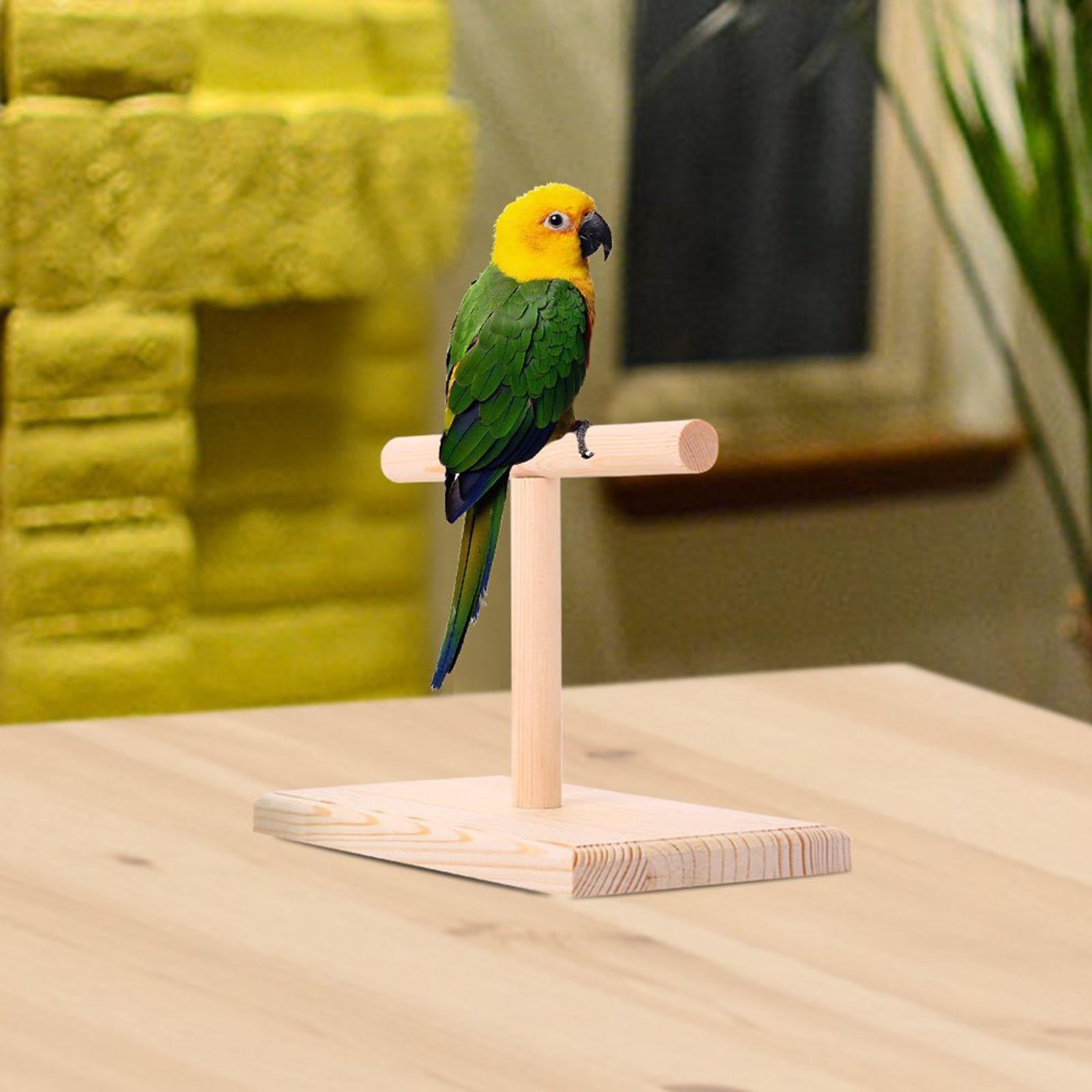 Bird Perch Finch Desktop Parrot Training Perches Branch