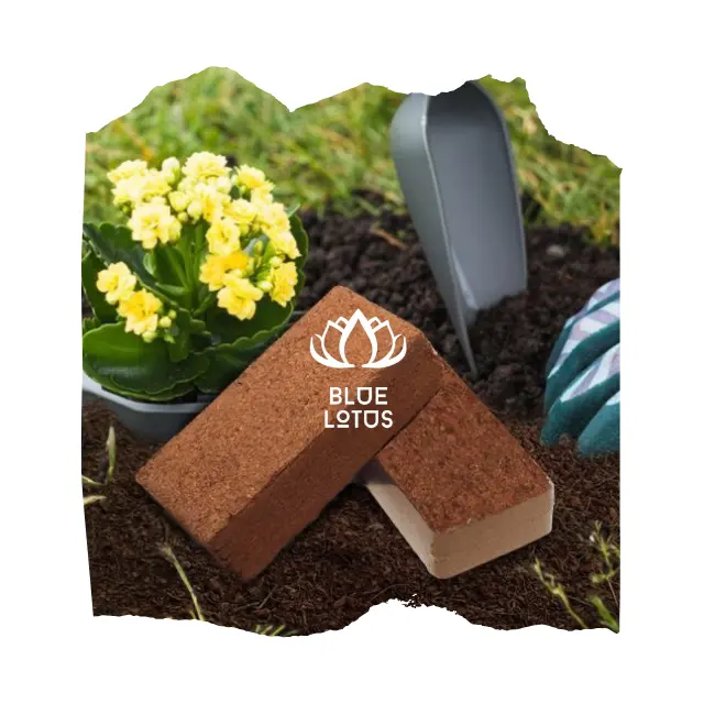 High Quality Peat Moss Coconut Coir Pellets Seedling Soil Block 5kg Coco Peat Garden Plants From Blue Lotus Viet Nam