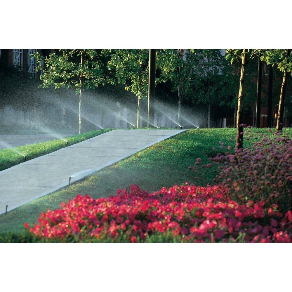 Rain Bird 4 in. Pop-Up Adjustable Pattern Non-potable Sprinkler with Purple Cap 1804APNP