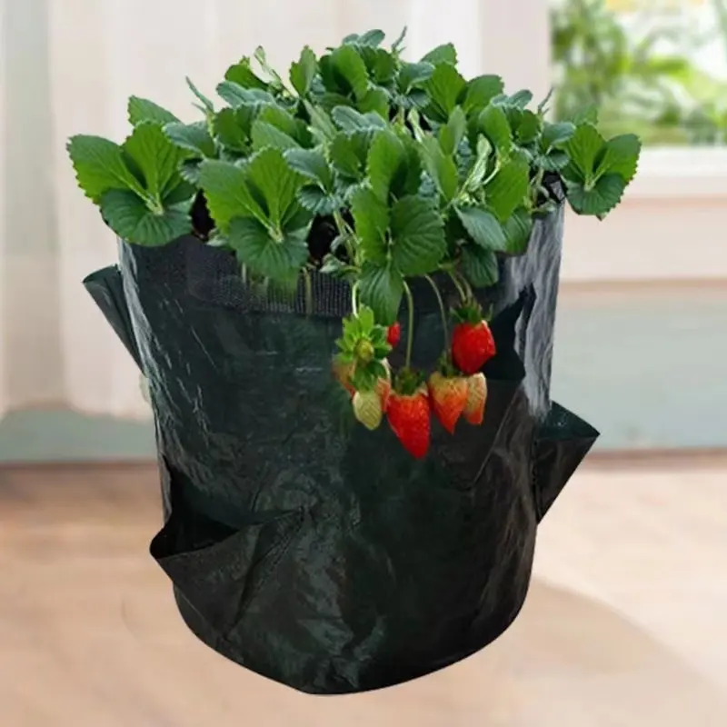 10 Gallon 6 8 Mouths Eco Friendly Biodegradable Strawberry Planting Vegetable Flower Herb Plant Container Greenhouse Grow Bags