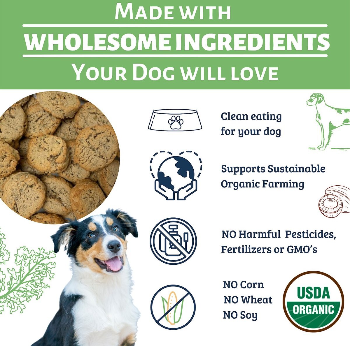 Dog Mamma’s Organic Sweet Potato and Kale Bites Dog Treats