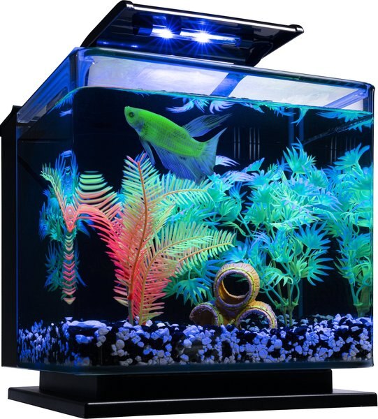 GloFish Betta Fish Aquarium Kit， 3-gal