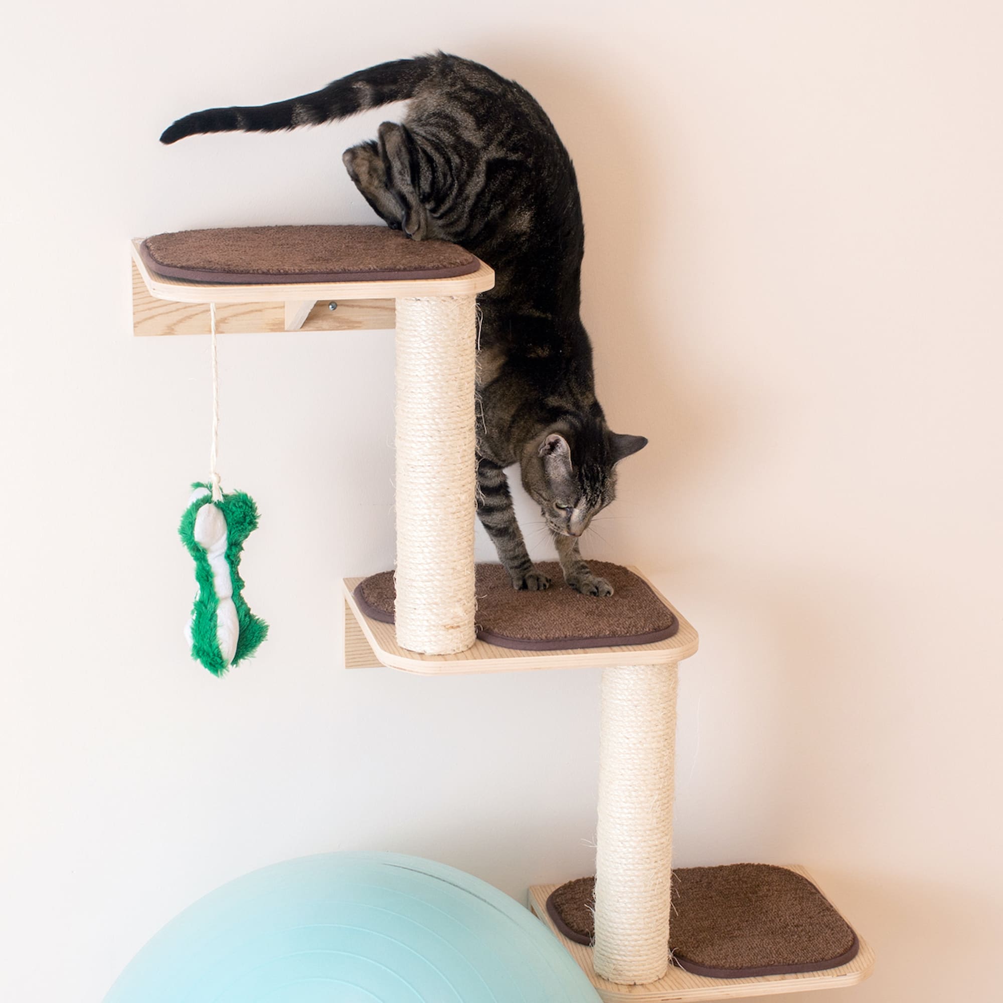 Armarkat Real Wood Model W1907C Cat Wall Climber， 41