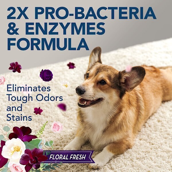 Simple Solution Pet Stain and Odor Remover with Pro-Bacteria and Enzyme Formula