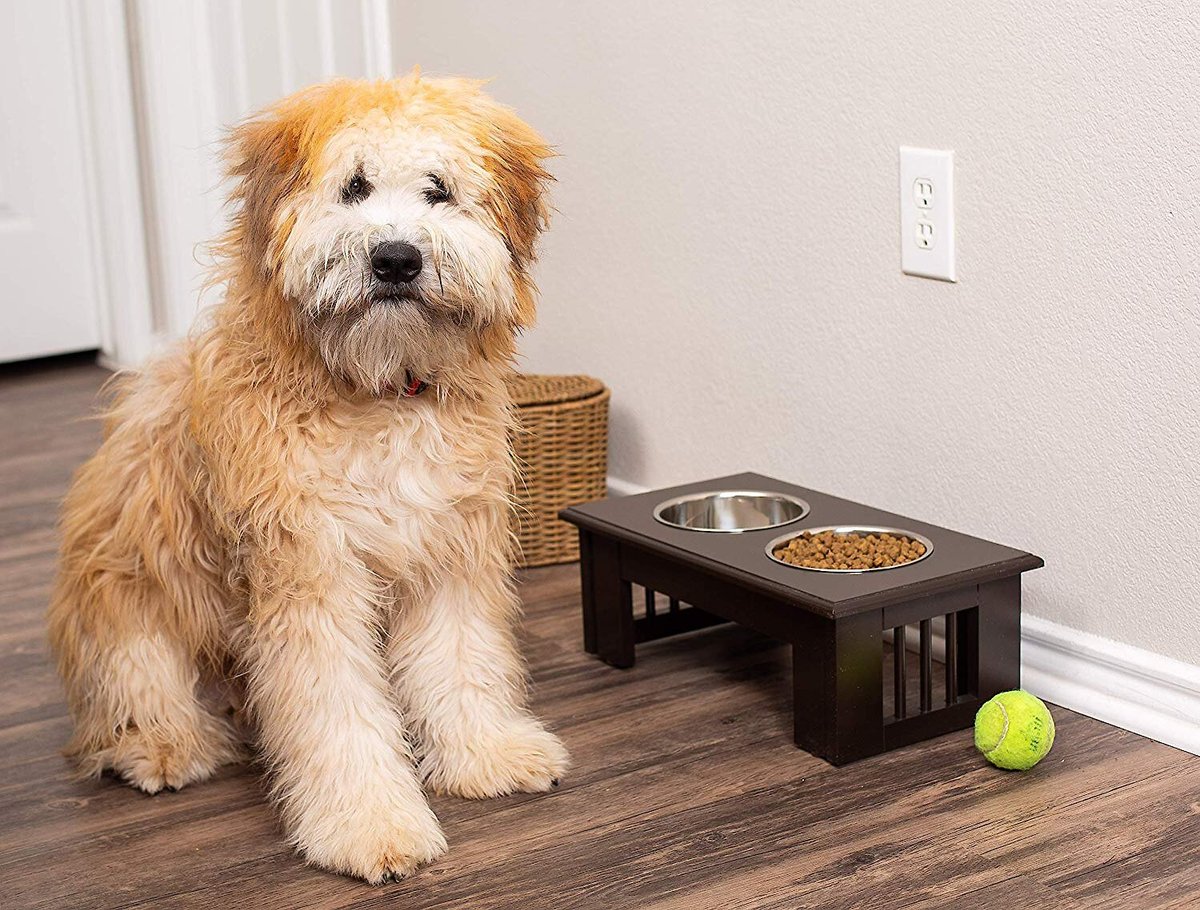 Internet's Best Traditional Elevated Dog Feeder