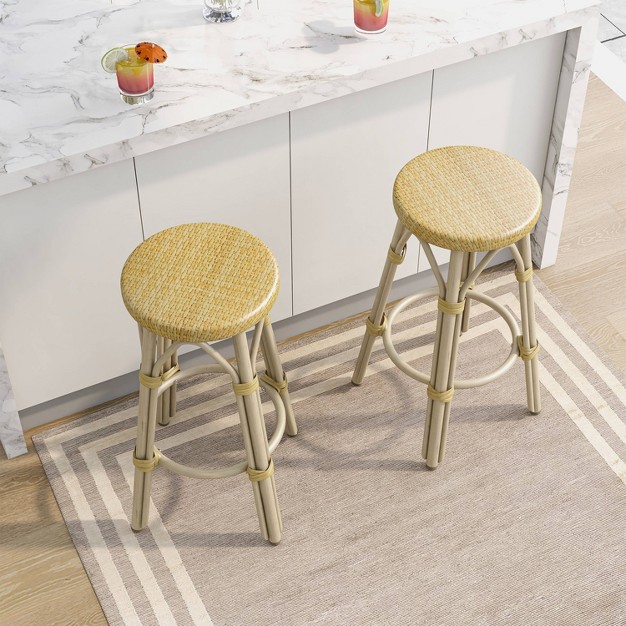 Counter Height Stool set Of 2 Mibasics