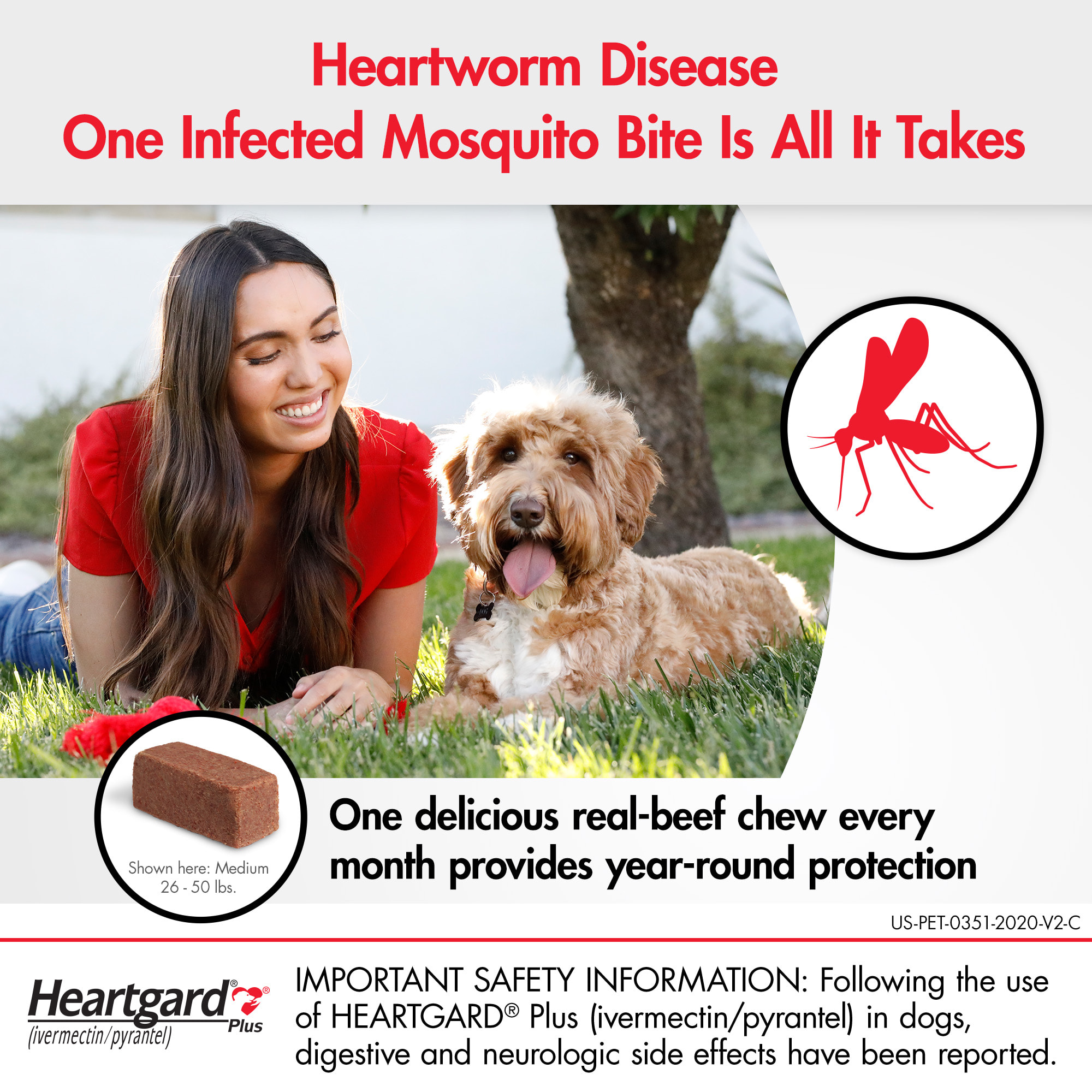 Heartgard Plus Chewables for Dogs 26 to 50 lbs.， 6 Month Supply