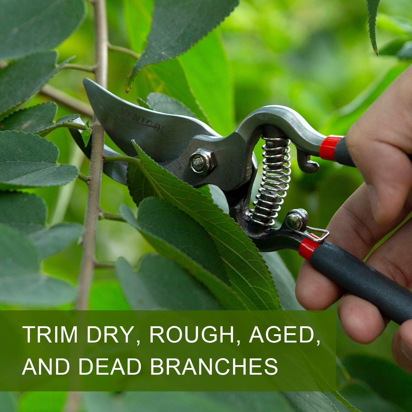 Ventool 8" Sharp Bypass Pruning Shears, Heavy-duty Hand Pruners