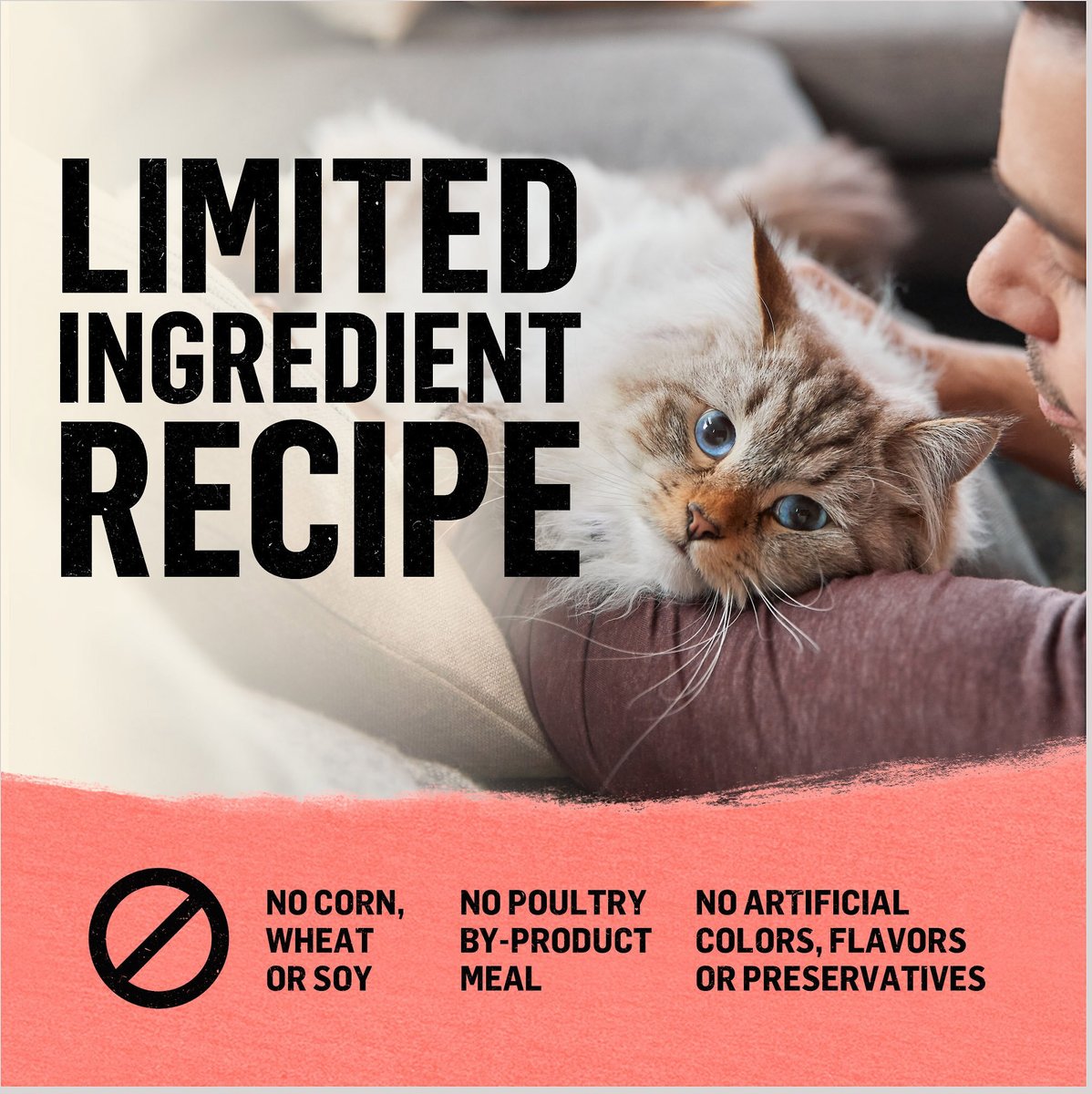 Purina Beyond Simply Salmon and Whole Brown Rice Recipe Dry Cat Food