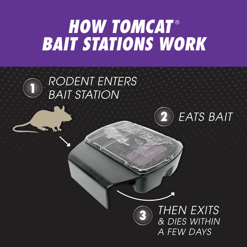 MICE BAIT/STATN BLKS 6PK