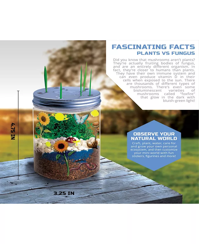 Discovery #MINDBLOWN Discovery Kids DIY Terrarium Grow Kit  Fast-Growing Indoor Mini Garden