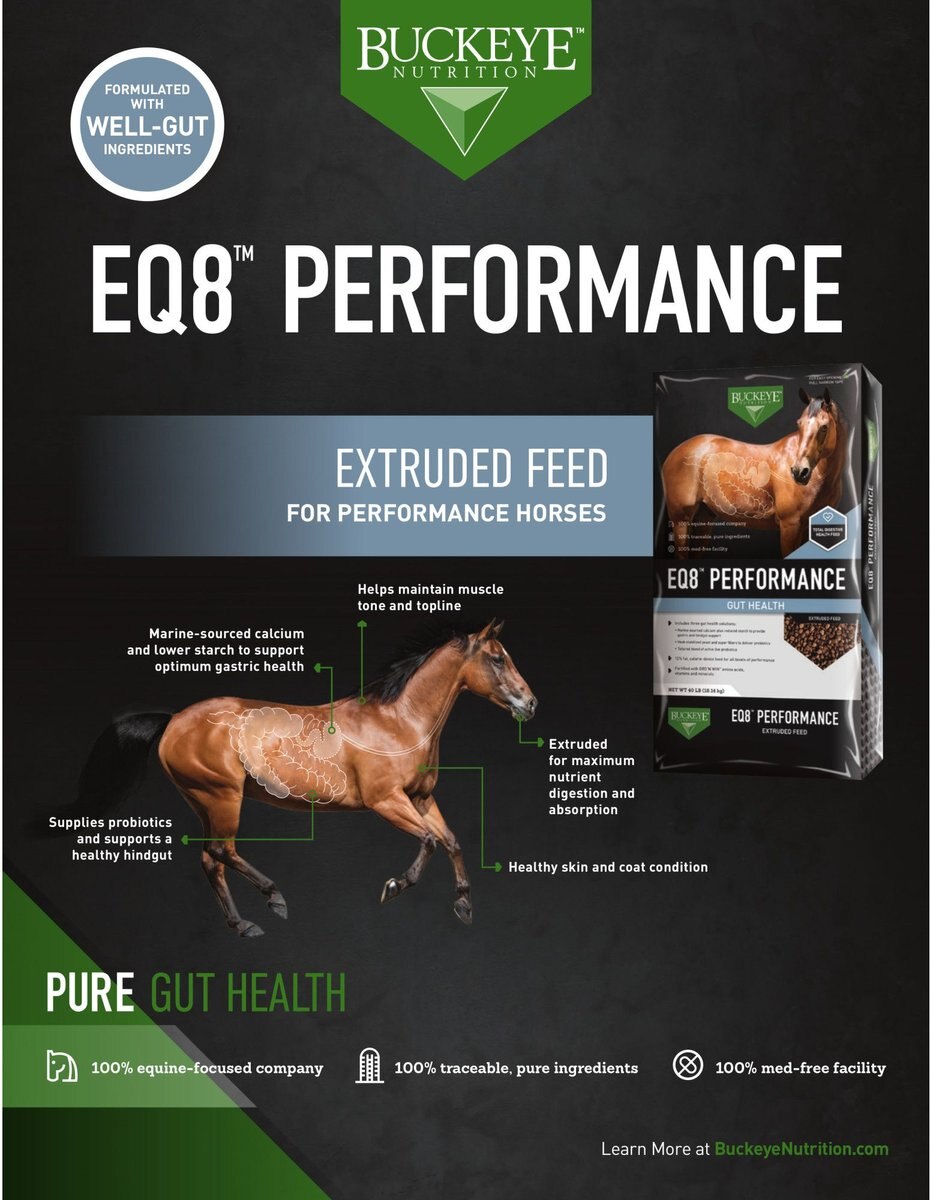 Buckeye Nutrition EQ8 Performance Gut Health Horse Feed， 40-lb bag