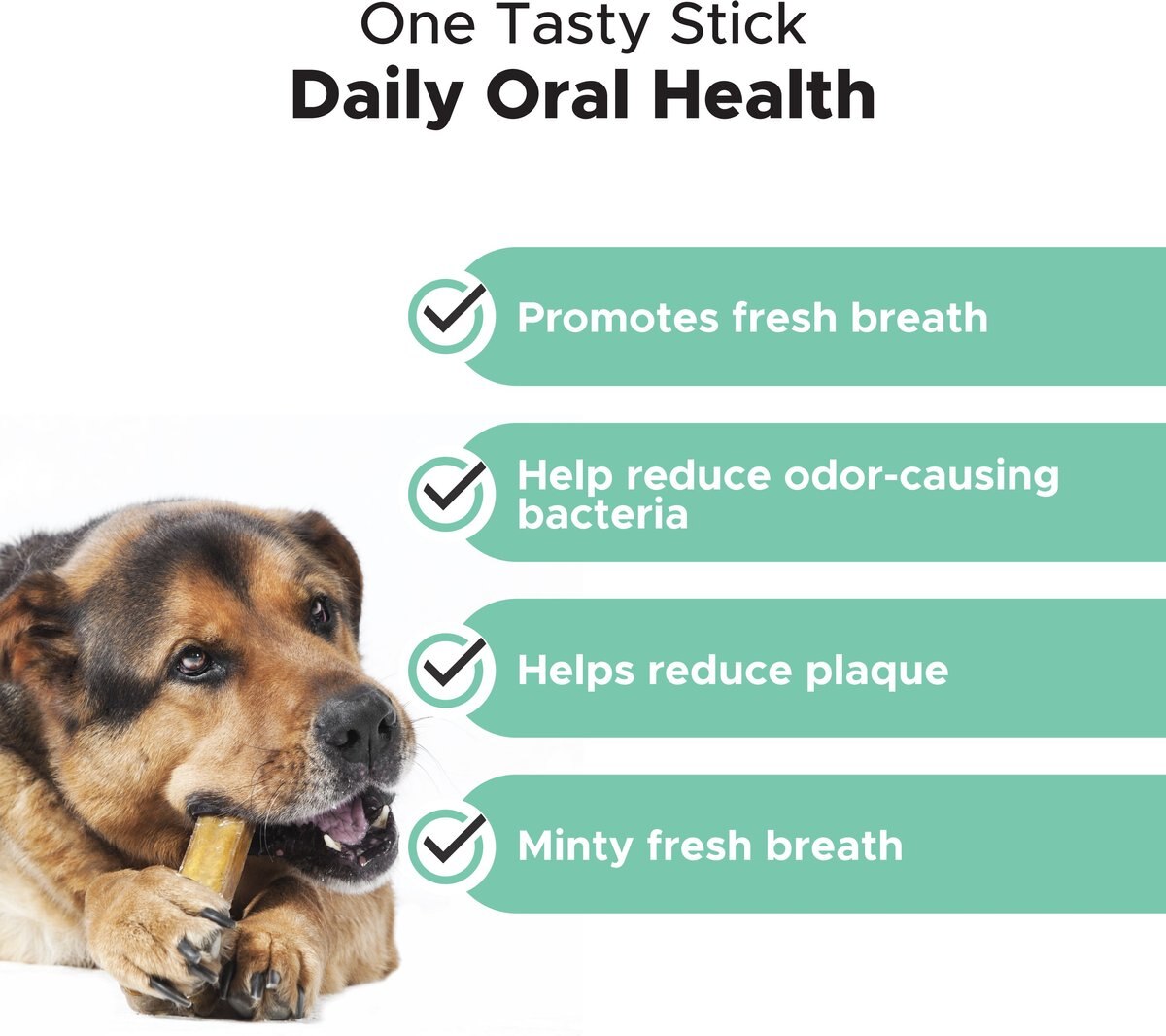 PetHonesty Dental Health Fresh Sticks Mint Flavor Dog Dental Treats