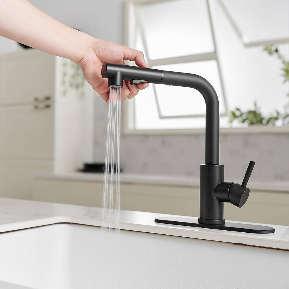 BWE 2 Sprayer Single Hole Single-Handle Pull Out Kitchen Faucet in Matte Black A-94020-Black