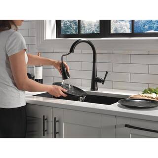 Delta Emmeline Single-Handle Pull-Down Sprayer Kitchen Faucet with Touch2O and ShieldSpray in Matte Black 9182T-BL-DST