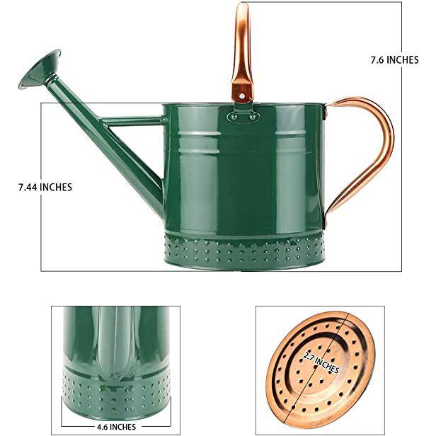 Cubilan 1 Gal. Metal Watering Can with Removable Spout Nice Galvanized Steel Water Can with Embossed Design B08LBG671T