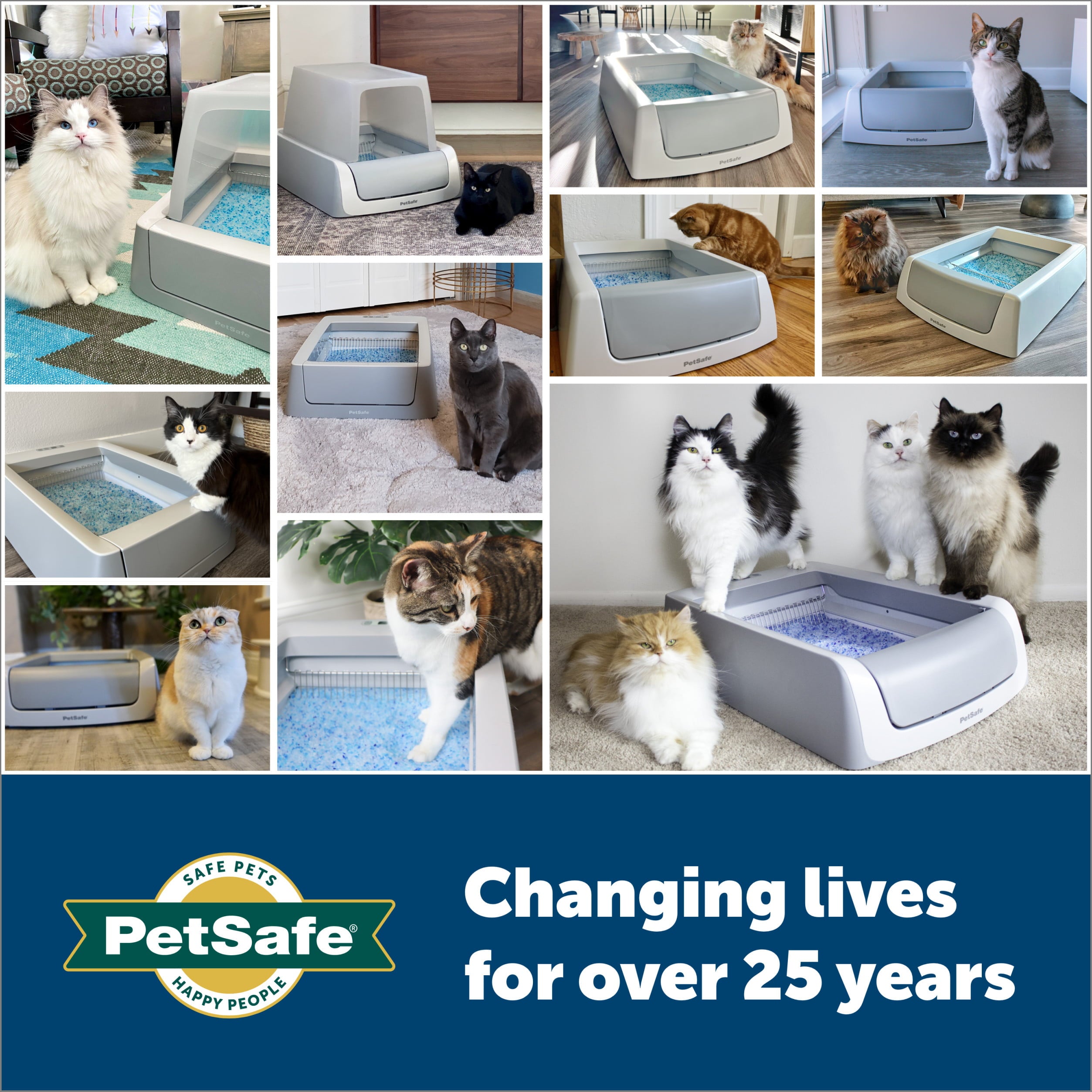 PetSafe ScoopFree Smart Self Cleaning Cat Litter Box， Phone App Connected