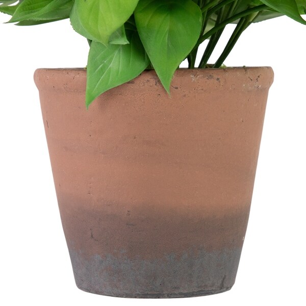 Artificial Peperomia Watermelon Begonia Plant In Terracotta Style Pot 7