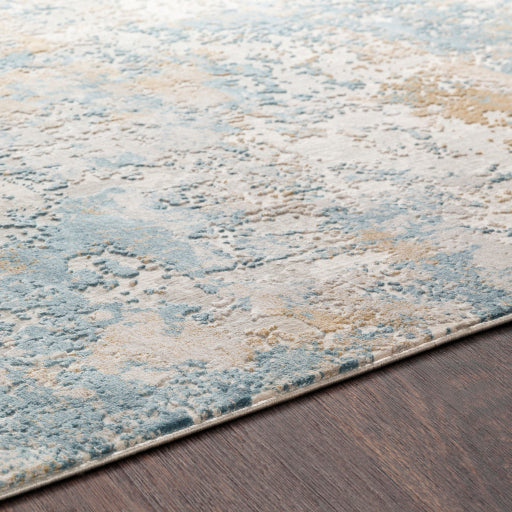 Aisha Viscose Distressed Traditional Rug