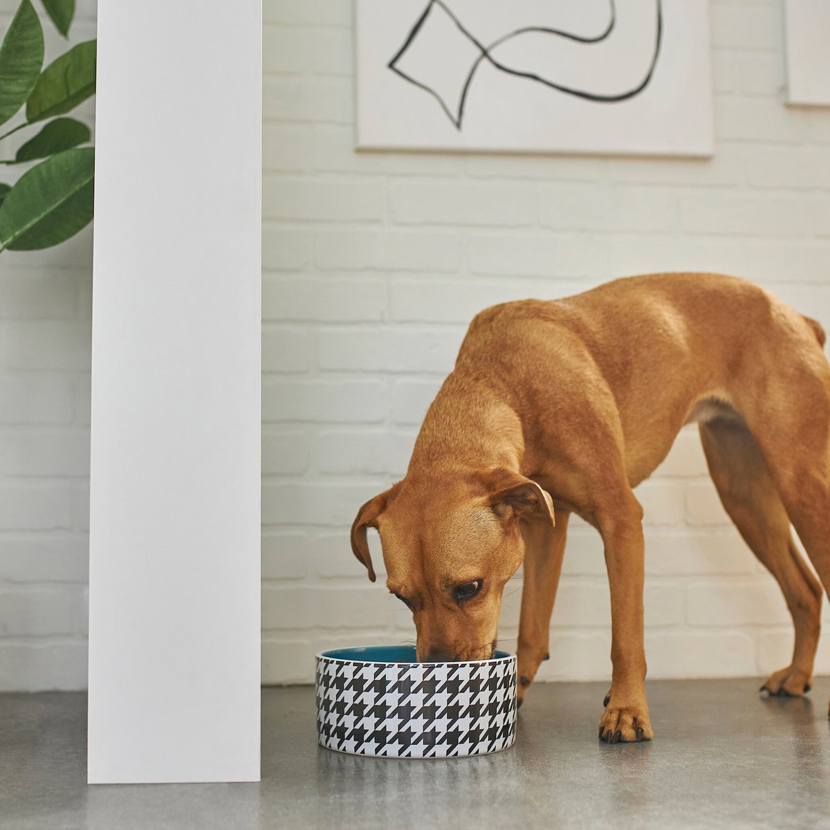 Frisco Houndstooth Non-skid Ceramic Dog Bowl