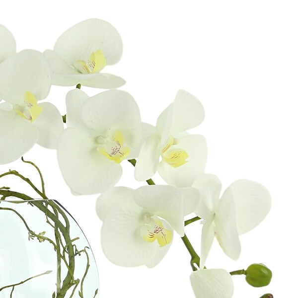 Orchid Floral in Glass Vase