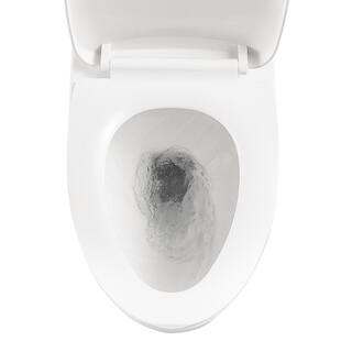 12 in. Rough-In 1-piece 1.61.1 GPF Dual Flush Elongated Toilet in White Slow Close Seat Included ALDMT78SM