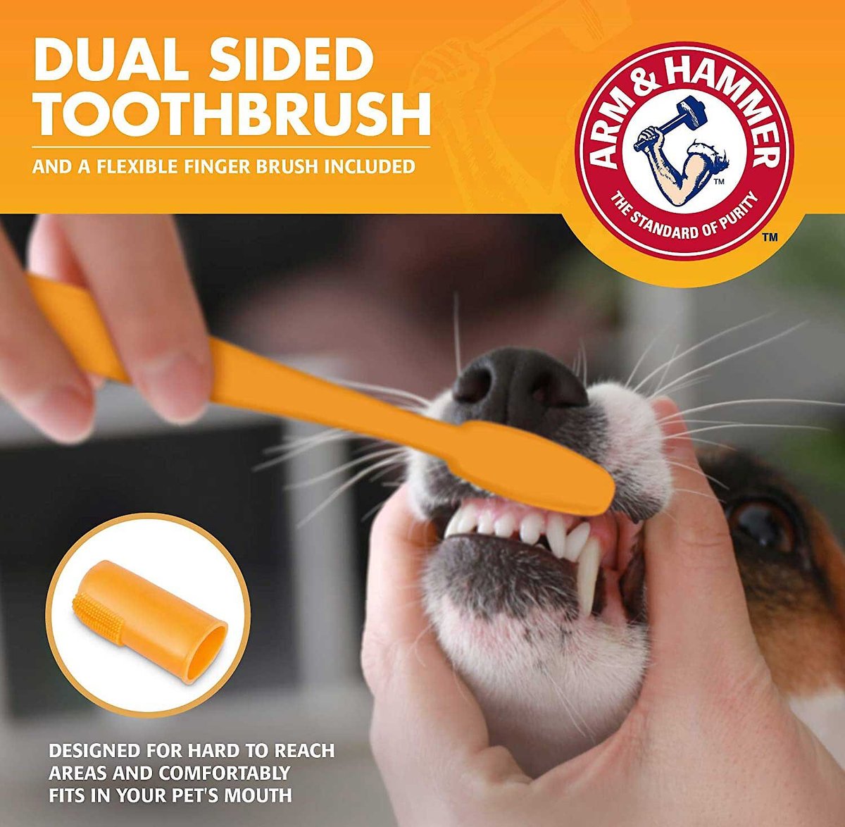 Arm and Hammer Clinical Gum Health Chicken Flavored Dog Dental Kit