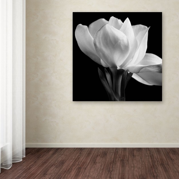 Trademark Fine Art michael Harrison x27 gardenia x27 Canvas Art