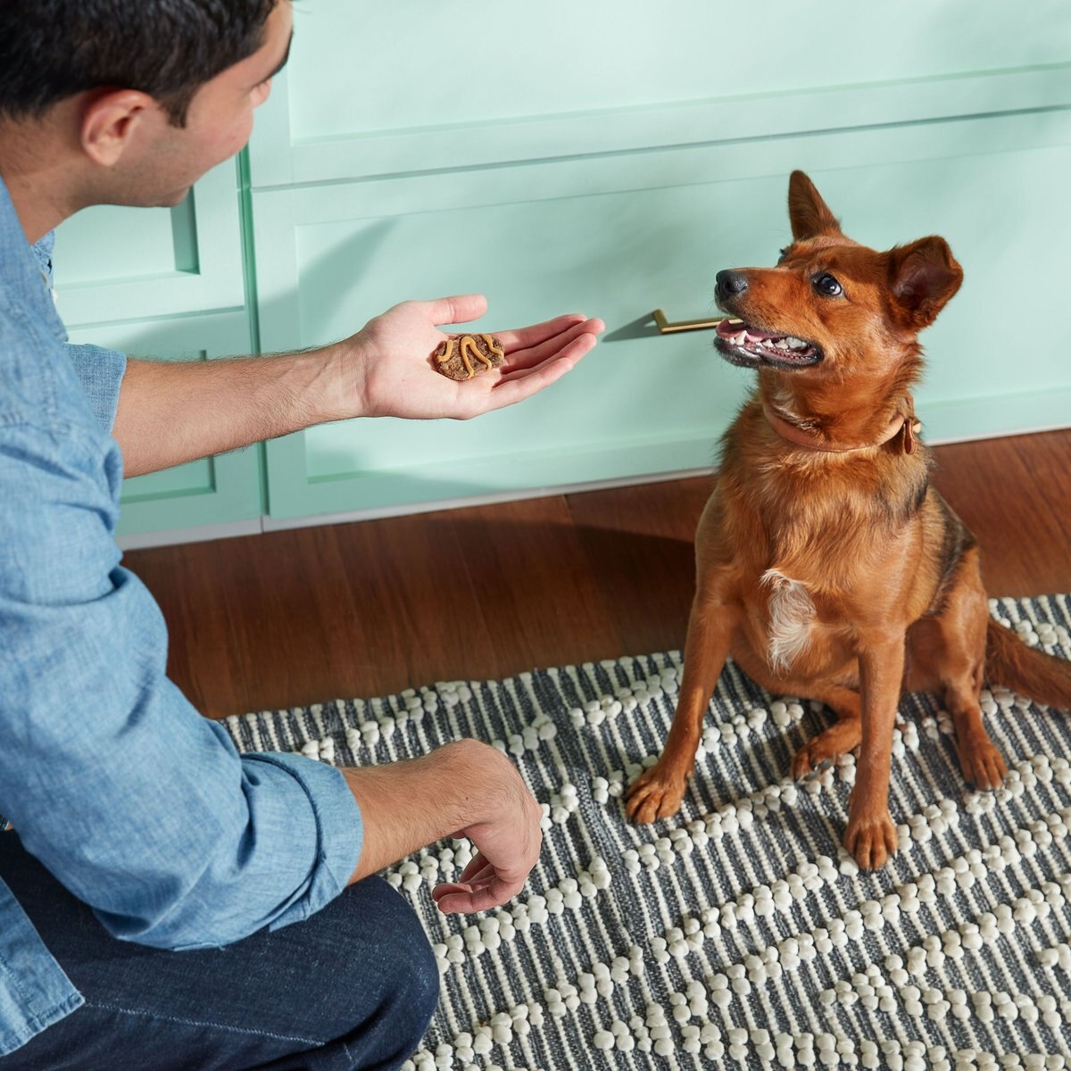 Rachael Ray Nutrish Bark Jerky-Style Peanut Butter and Bacon w/Real Beef Jerky Dog Treat