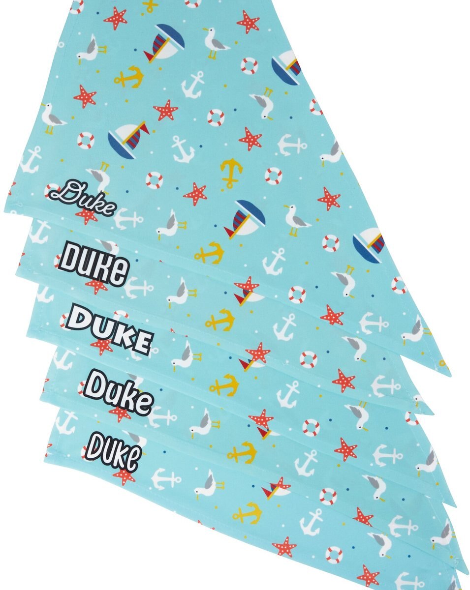 Frisco Nautical Personalized Dog and Cat Bandana