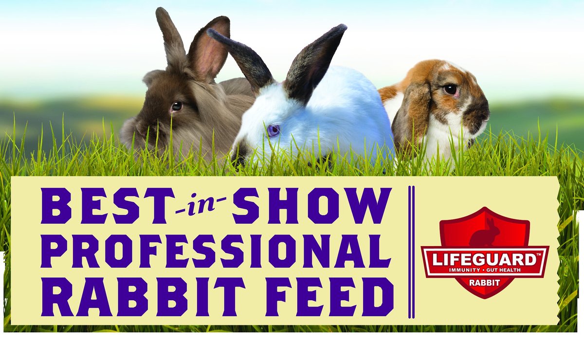 Kalmbach Feeds Best in Show 16% Professional Rabbit Feed， 50-lb bag