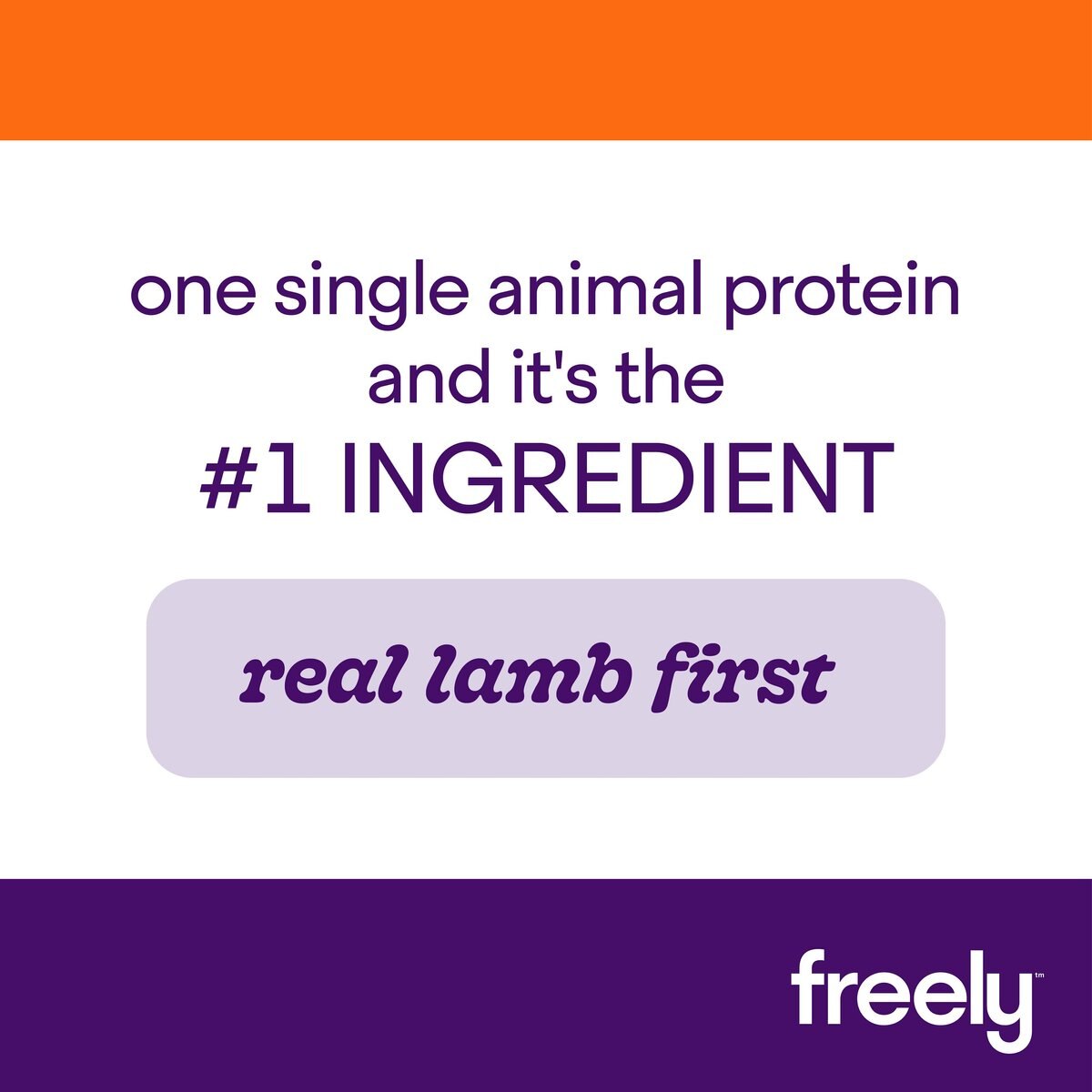 Freely Lamb Recipe Grain-Free Dry Dog Food