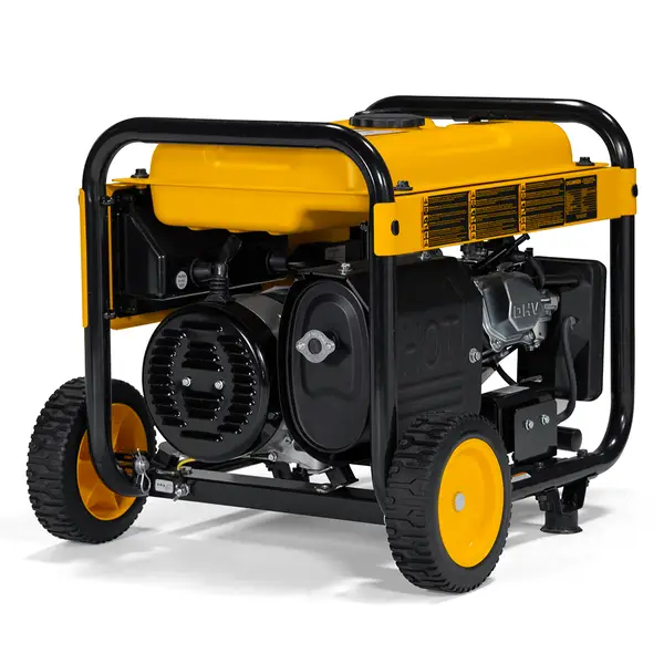 DEWALT 4000W Portable Generator