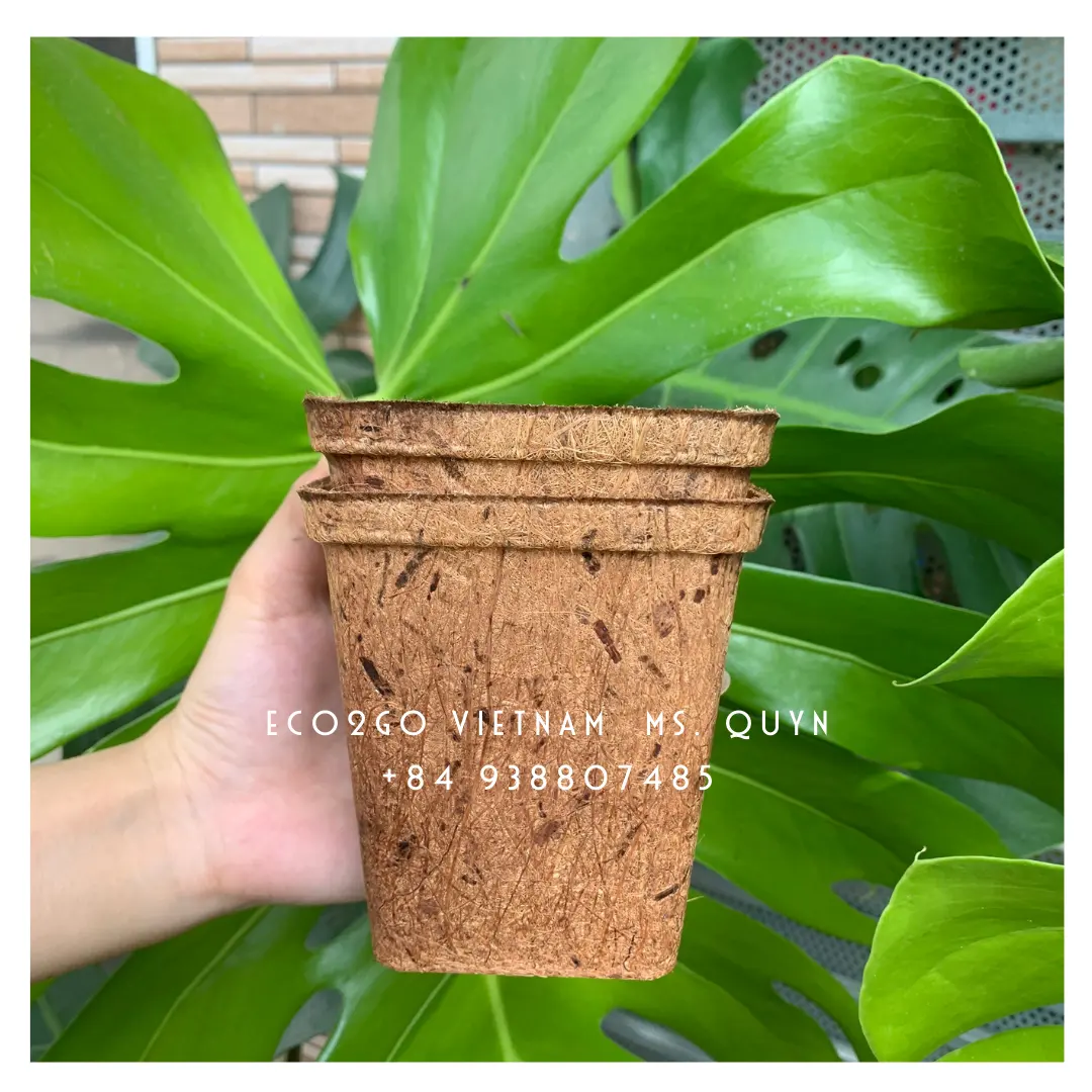 Solution Garden Supplies Coconut Coir Fiber Pot/ Coconut Plant Pot High Quality And Free Sample From Eco2go Vietnam