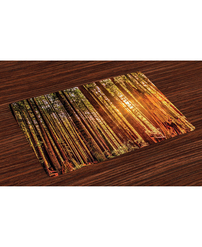 Ambesonne United States Place Mats Set of 4