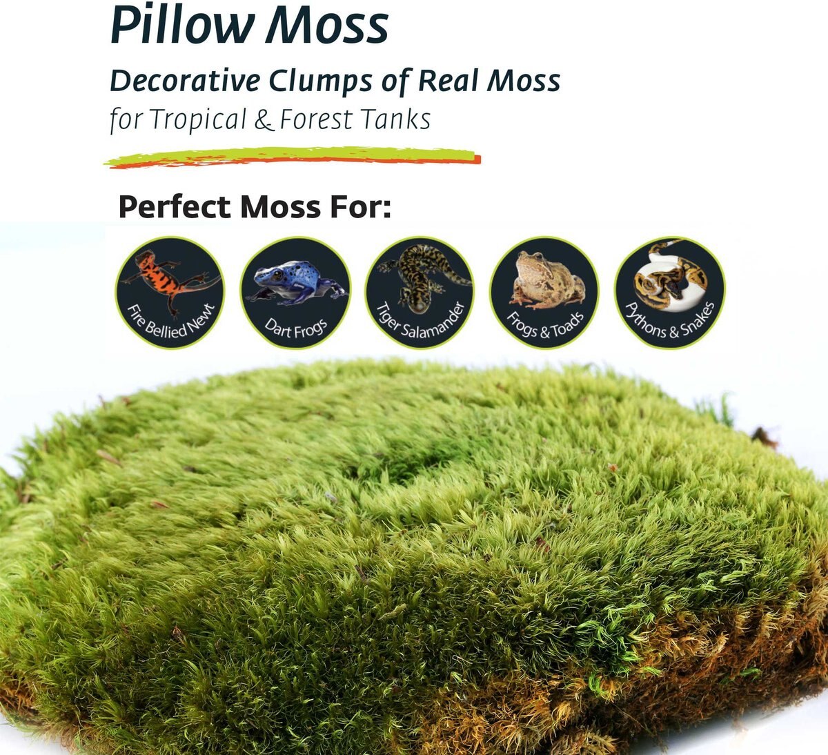 Galapagos Pillow Moss Reptile and Amphibian Terrarium Moss， Fresh Green