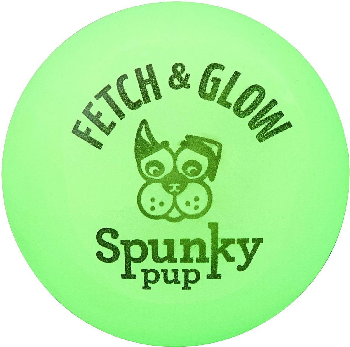 Spunky Pup Fetch and Glow Ball Dog Toy