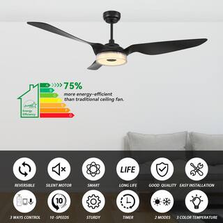 CARRO Finley 60 in. Dimmable LED IndoorOutdoor Black Smart Ceiling Fan Light and Remote Works with AlexaGoogle HomeSiri NS603F-L13-B2