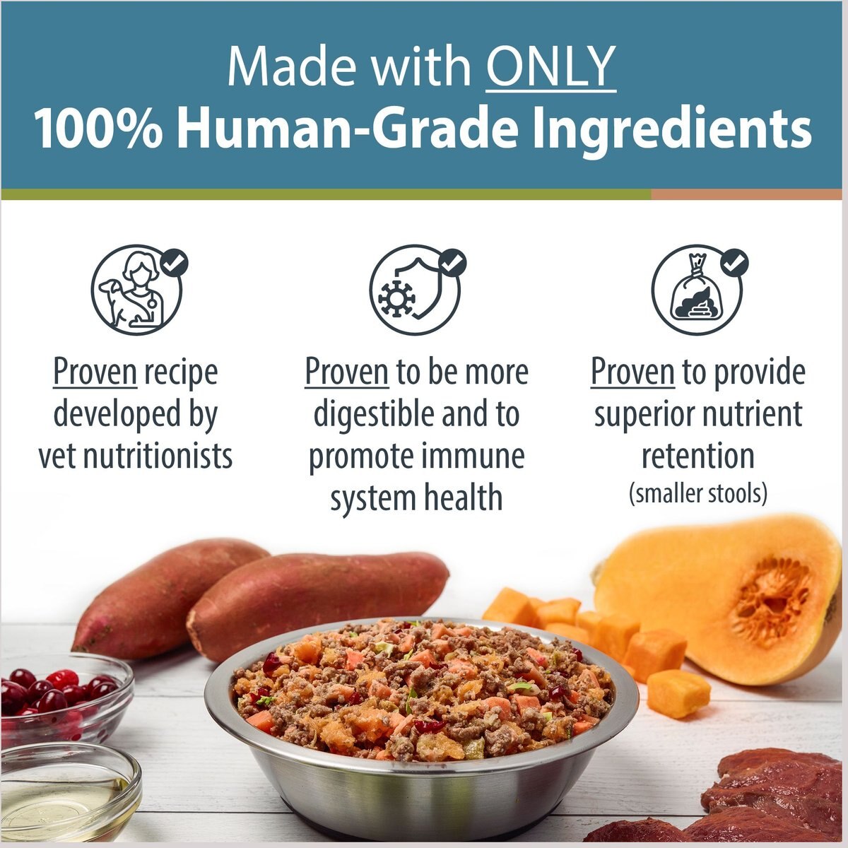 JustFoodForDogs Venison and Squash Recipe Frozen Human-Grade Fresh Dog Food