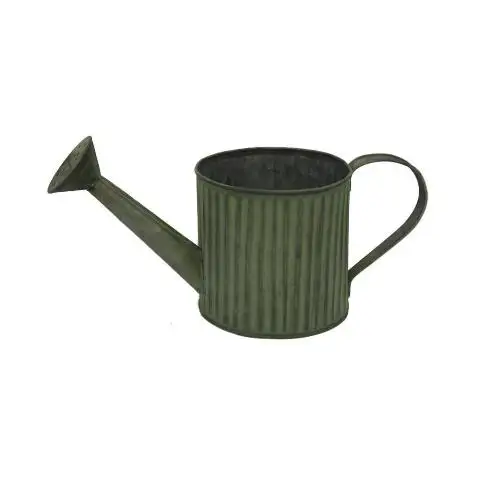 Trend Selling Solid Metal Watering Cane Big Size Plant Watering Can Garden Watering Can For Plants With Long Spout Comfortable