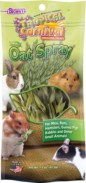 Brown's Tropical Carnival Oat Spray Small Animal Treats