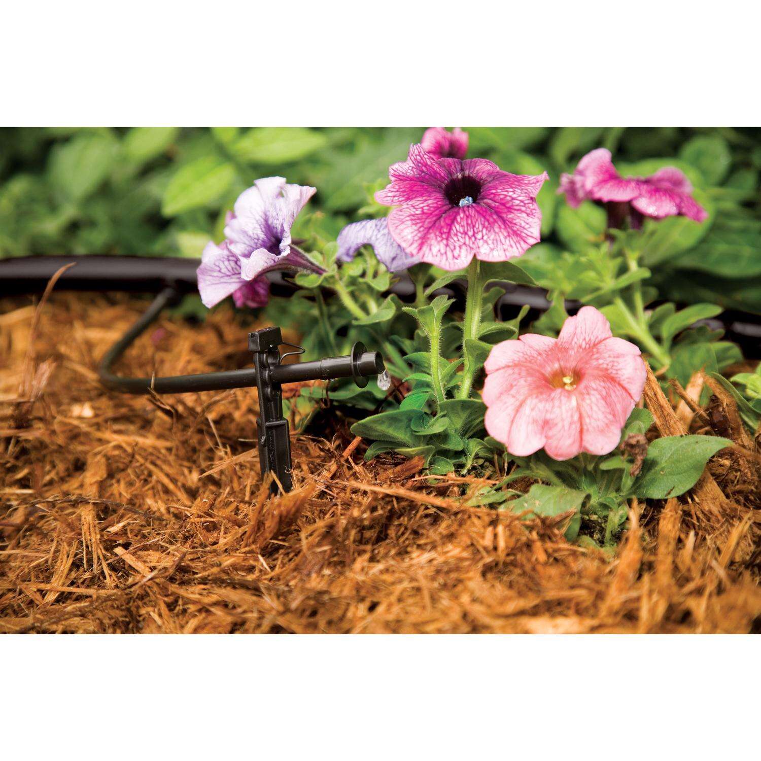 Rain Bird Drip Irrigation Plant Watering Kit