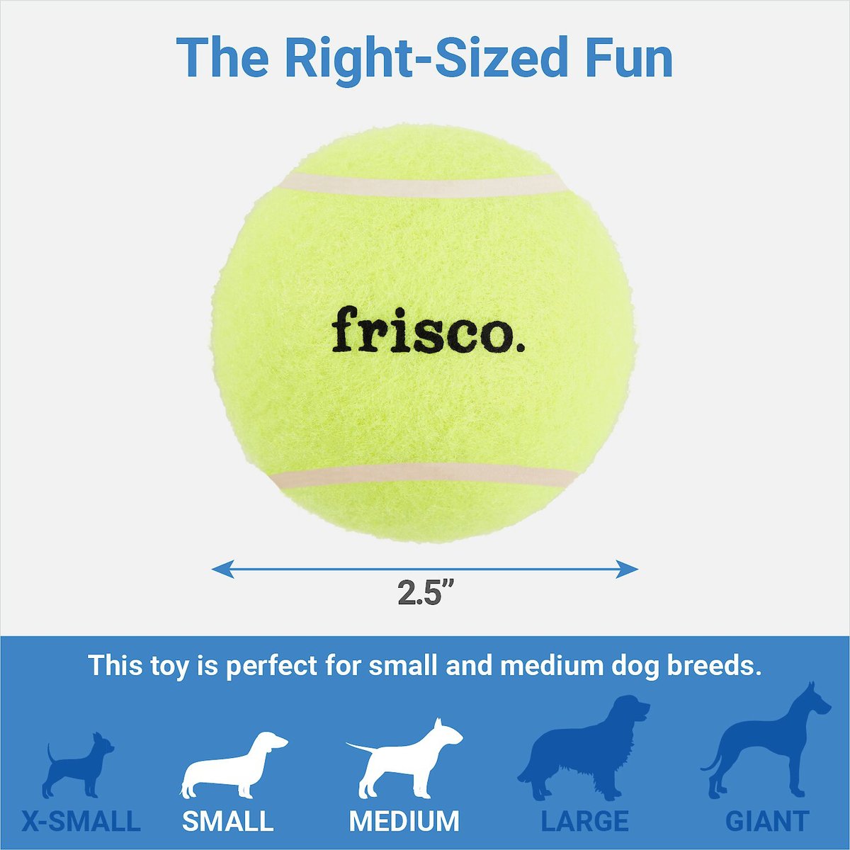 Frisco Fetch Squeaking Tennis Ball Dog Toy