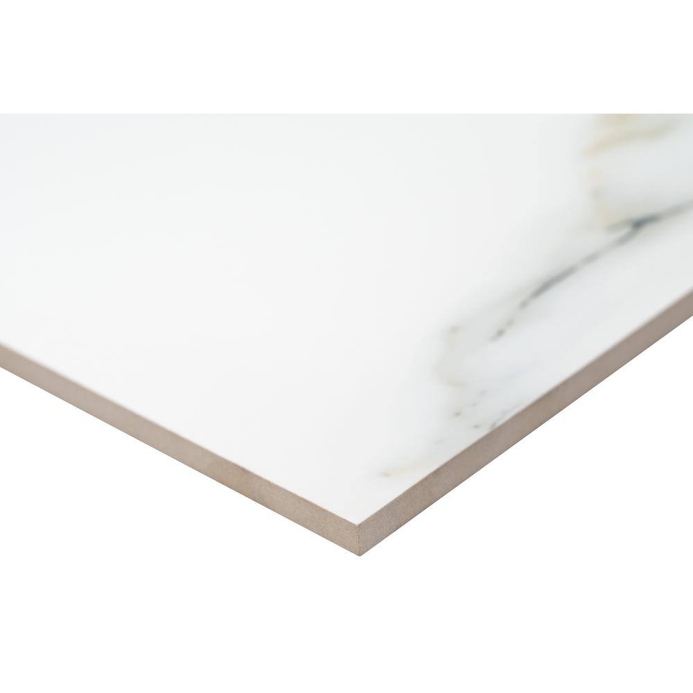 MSI Aria Bianco Polished Porcelain Floor and Wall Tile NARIBIA2424P