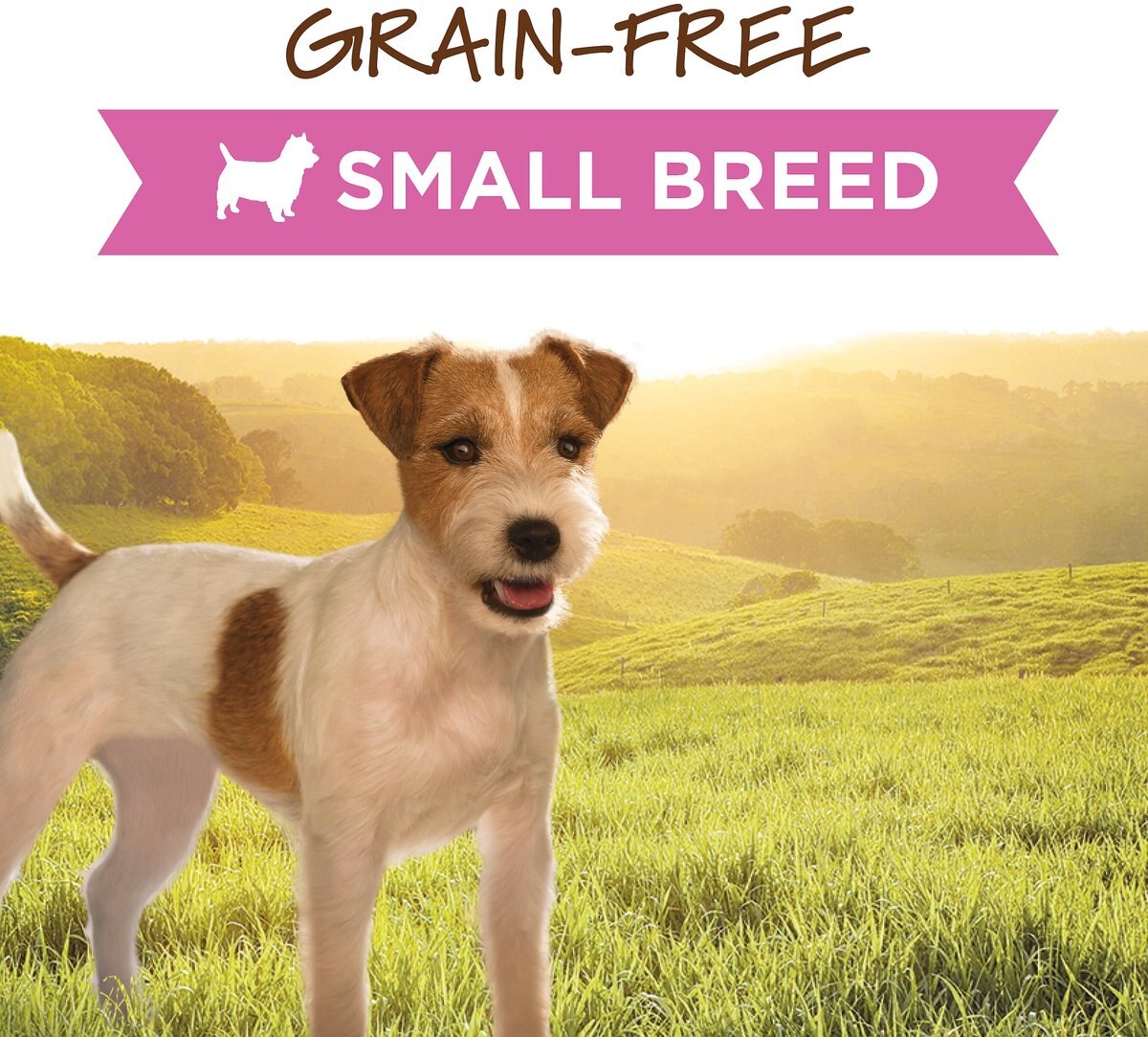 Instinct Original Small Breed Grain-Free Real Chicken Recipe Wet Canned Dog Food