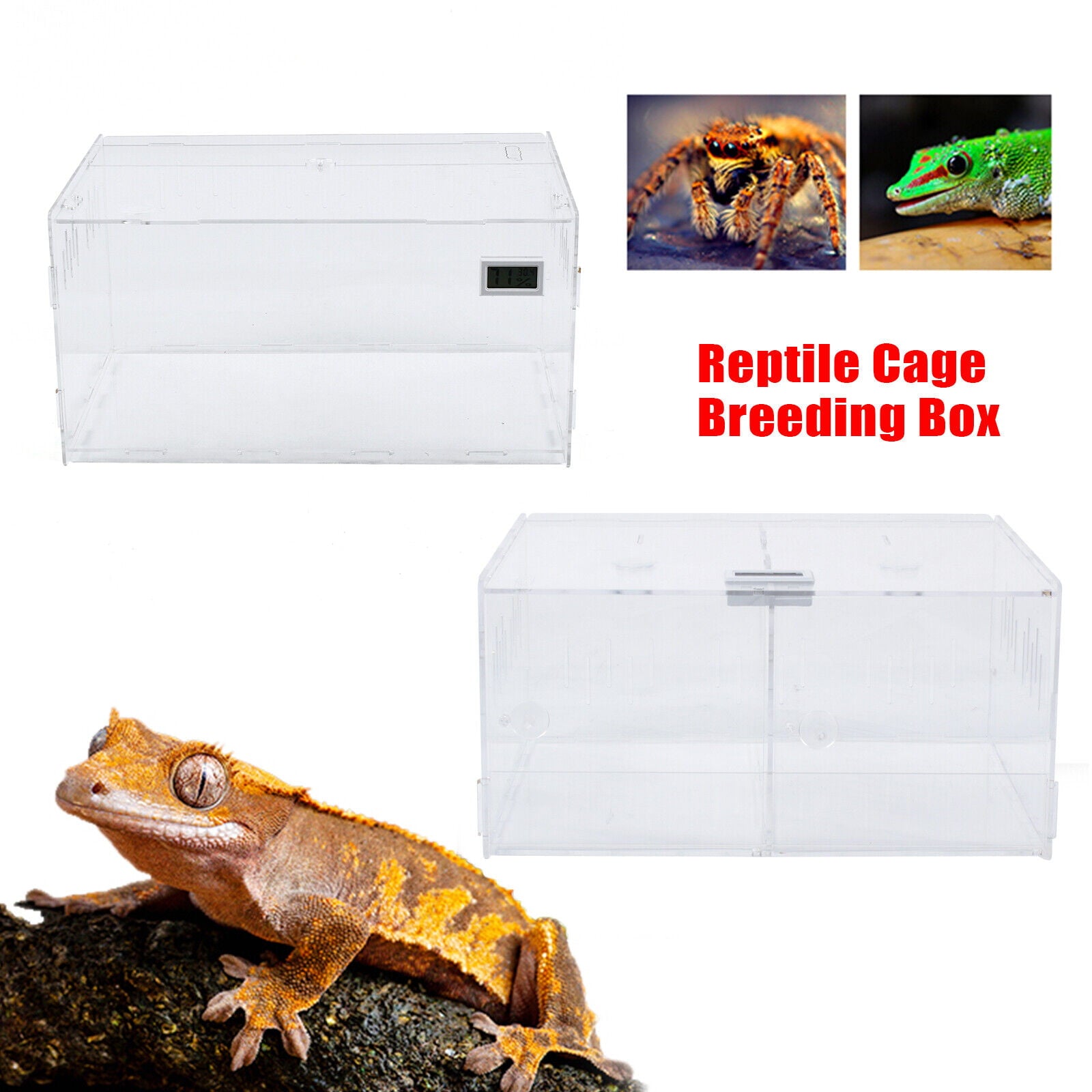 Miumaeov Climbing Pet Box Acrylic Reptile Tank Terrarium Clear Grids Spiders Lizard Breeding Box Clear Acrylic Pet Reptile Terrarium Habitat Turtle Cage Balcony