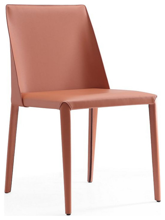 Paris Dining Chair  Coral  Set of 4   Modern   Dining Chairs   by Timeout PRO  Houzz